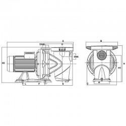 DAB Euroswim 300M 38m3/h H10m 3,0HP 230V