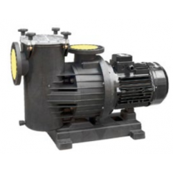 MAGNUS-4 1000 IE3 126m3/h H10m 10,0HP 230V/400V