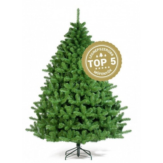 NORWAY SPRUCE