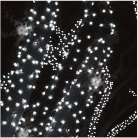 DEKORTREND LED JÉGSZIKRÁZÓ FÉNYFÜZÉR - HIDEG FEHÉR ÉGŐK SZÁMA 50 DB