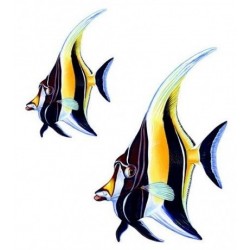 Vízalatti, Bálványhal csoport