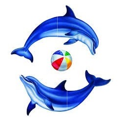 Víz alatti matrica, Delfin csoport kicsi