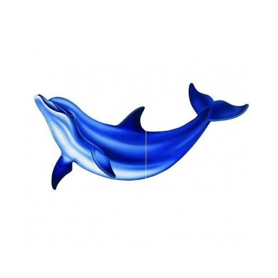 Vízalatti matrica, Delfin kicsi